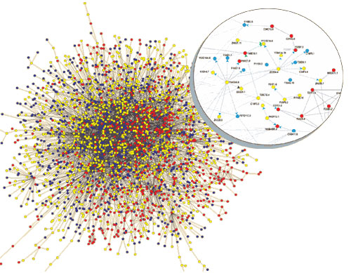 human interactome